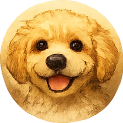 Teddy the Cavapoochon